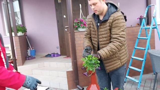 Всё дружно сажаем ? в горшки под руководством бабушки смотреть онлайн