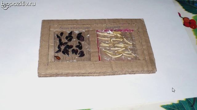 Творческие Проекты