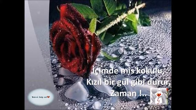 Devrim GÜRENÇ - Güller Dikensiz Olmaz