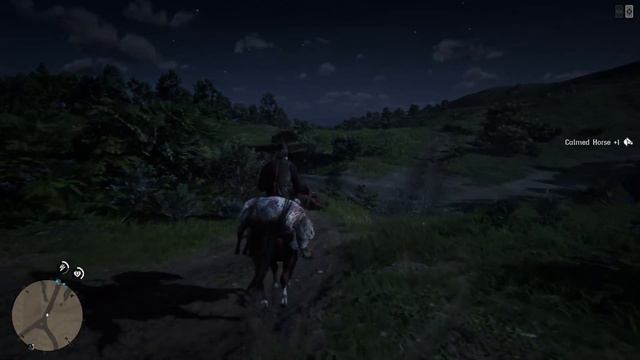 PS4pro 21+ Red Dead Online -2 Ошибка смотреть онлайн