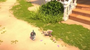 44 Котёнка | 20 МИНУТ с Пирожком… котом-бармаглотом!