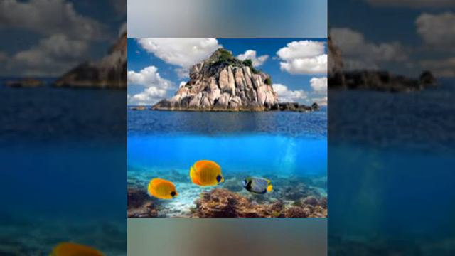 Поклейка 3d обоев смотреть онлайн