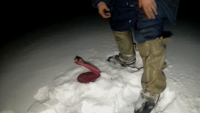 С ночёвкой , р ЧЕПЦА на НАЛИМА. смотреть онлайн