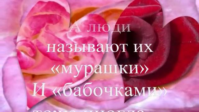 любовь приходит чтоб остаться - мы начинаем верить в чудеса... смотреть онлайн