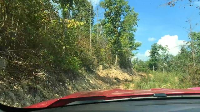 58 acres in Missouri Ozarks for $500 down! Long private driveway! ID#ER01A смотреть онлайн