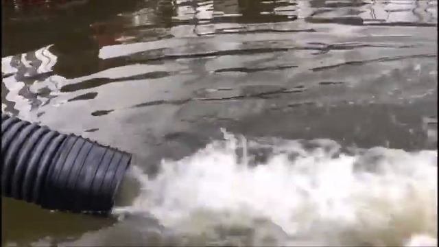 Приход и зарыбление карпом основного водоёма в Савельево-2. 25.04.18г смотреть онлайн