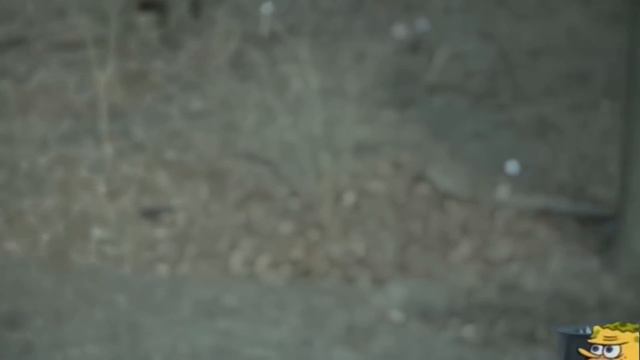 Trash.gif смотреть онлайн
