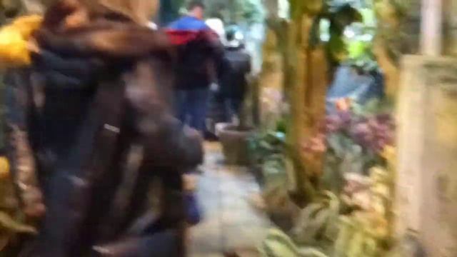 В МОСКВЕ ЗИМОЙ ЦВЕТЕТ СИРЕНЬ. "РЕПЕТИЦИЯ ВЕСНЫ" В АПТЕКАРСКОМ ОГОРОДЕ. смотреть онлайн