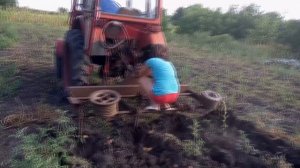 картофелекопалка и трактор Т-25