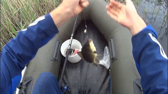 Секрет успеха ловли карася на хлебную корку! смотреть онлайн