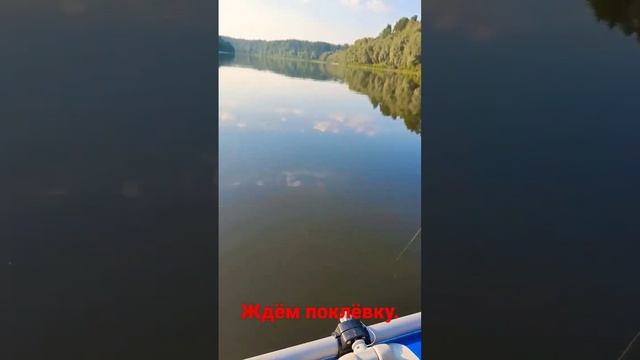 Ждём поклёвку. Рыбалка на реке Ветлуга. смотреть онлайн