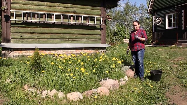 Про цветники на нашем участке смотреть онлайн
