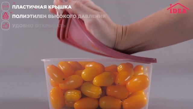 Ёмкость для продуктов прямоугольная IDEA смотреть онлайн