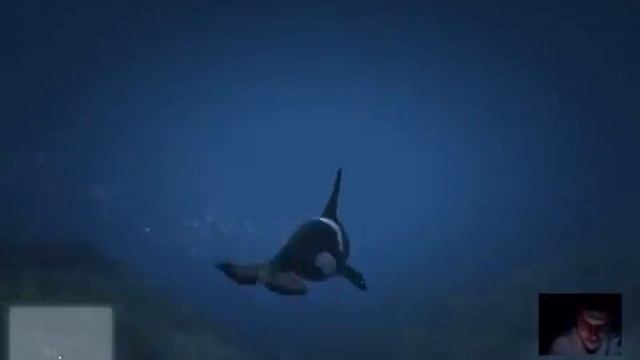 GTA 5 SHQIP +Modsa Funny Moment смотреть онлайн
