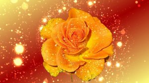 Футаж. Цветочный фон 170