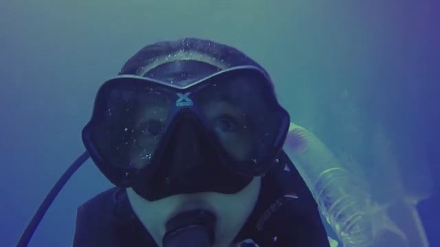 DPV promo смотреть онлайн