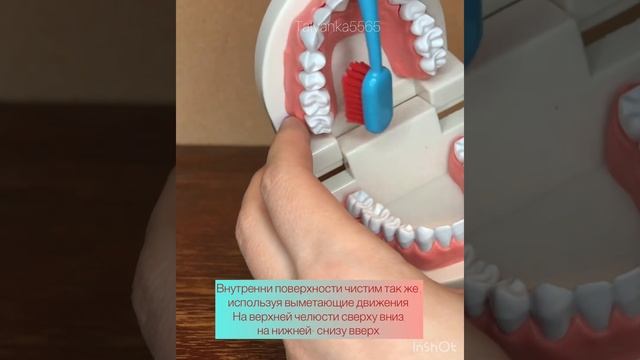 Чистка зубов щеткой средней жесткости. "Стандартный метод" чистки зубов. смотреть онлайн