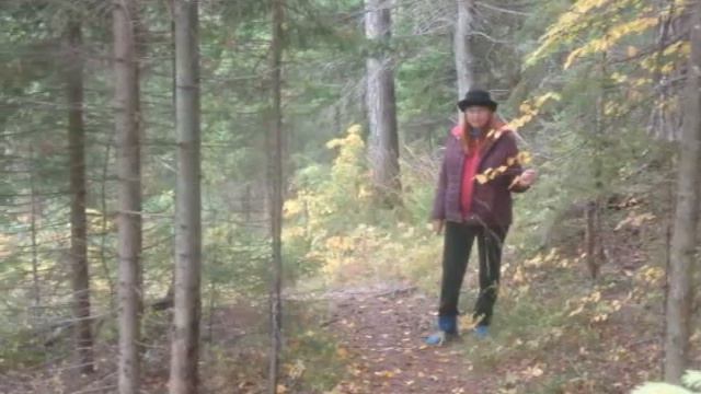 Здесь край земли - Автор Владимир Таёжник музыка и исполнитель Ирина Крайдер Хёрнер смотреть онлайн