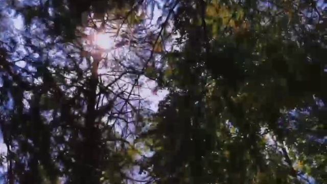 Фильм к 200-летию со дня рождения драматурга Александра Николаевича Островского смотреть онлайн