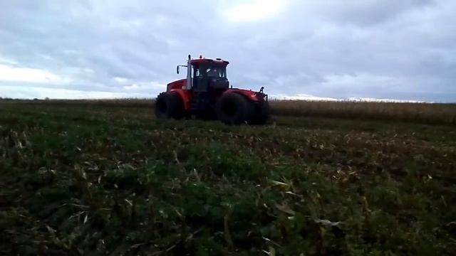 Уборка кукурузы на силос 2017 часть 1 смотреть онлайн