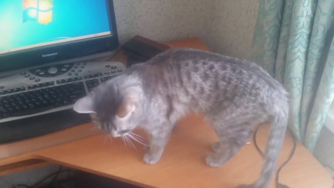 Обзор  моноблока Lenovo C200 купленого через юлу в ломбарде