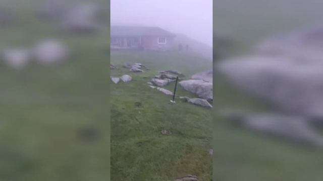 Triund & Snowline || Trekking || 2021 special || McleodGanj Dharamshala || Himachal Pradesh смотреть онлайн
