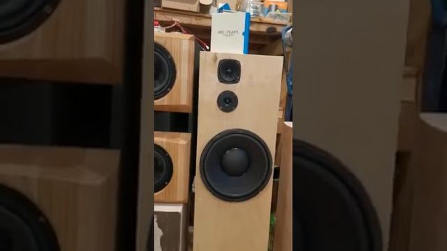 новая 3 полосная акустика на базе ноэма 150гдн45, Visaton fr8m8, DT72 смотреть онлайн