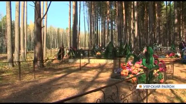 Жители поселка Громадск возмущены масштабной вырубкой сосен смотреть онлайн