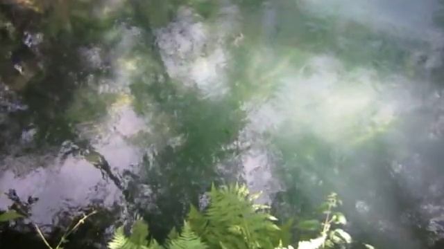 Голубая криница смотреть онлайн