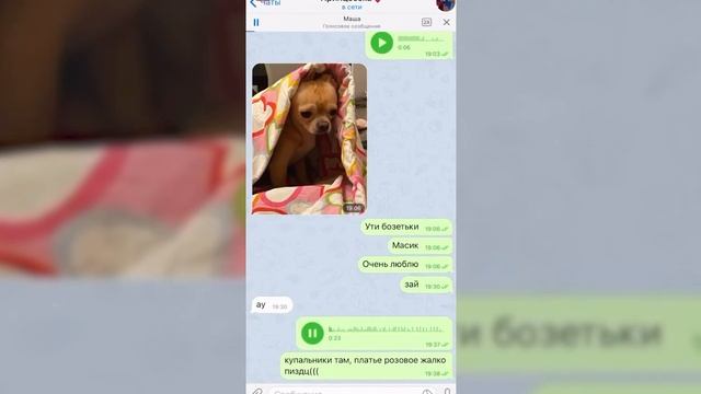 ОТВЕТ Мелстрою | Эдард Бил сошел с ума | РАЗВОД ОТ ДЖАВИДА смотреть онлайн