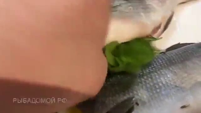 Искусство Гастрономии