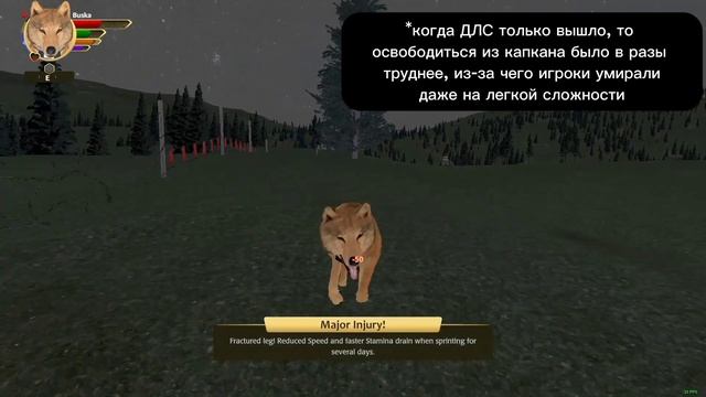WolfQuest: AE | Lost River DLC | Достижения Ranch Bandit, Bark Bark BANG и Escape Artist смотреть онлайн