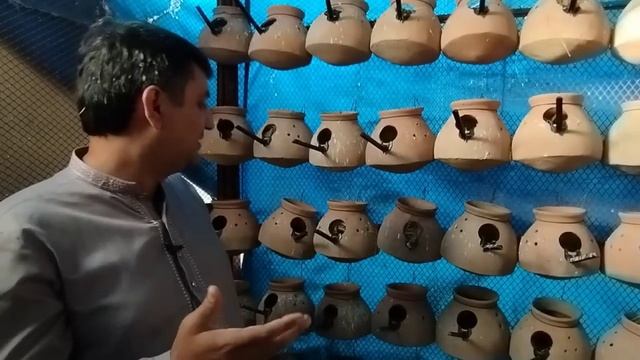 Java Ki Colony Kaise Banaye Aur Achi Breed Kaise Len смотреть онлайн