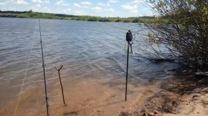 ЛОВЛЯ ТОЛСТОЛОБИКА НА ТЕХНОПЛАНКТОН. МОЩНЫЕ ПОКЛЕВКИ КАРАСЯ НА КУКУРУЗУ. РЫБАЛКА УДАЛАСЬ !!!!