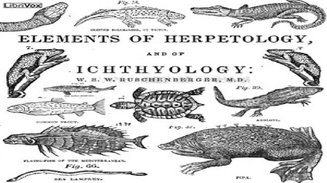 Elements of Herpetology and Ichthyology | William Ruschenberger | Animals, Nature | English | 3/3 смотреть онлайн
