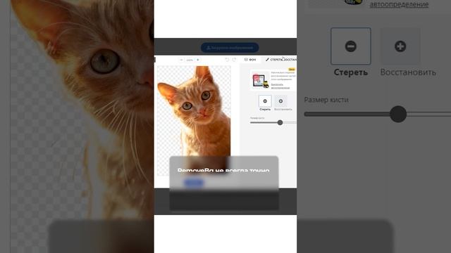 Нейросети RemoveBg и Retousher! Как их использовать? смотреть онлайн