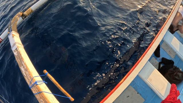 Невероятная Махи-махи┃Рыбалка на Бали. Часть 2