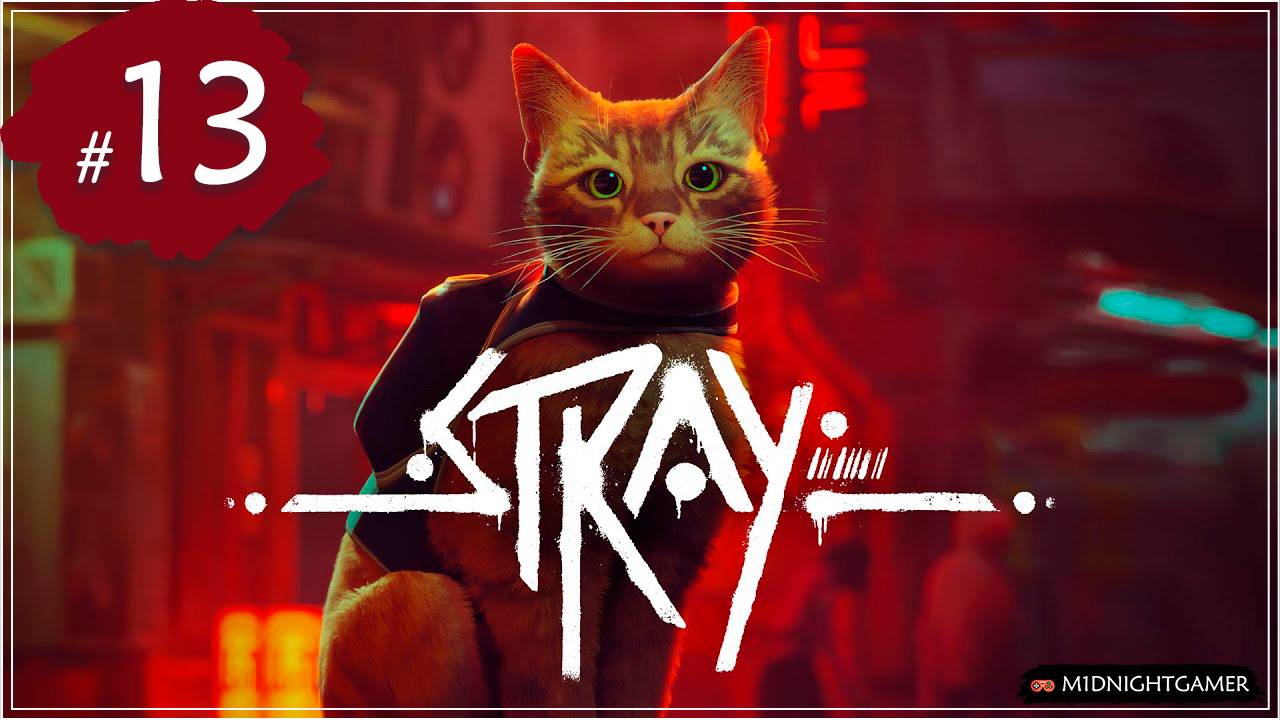 Stray ➤ #13 ➤ Тюрьма смотреть онлайн