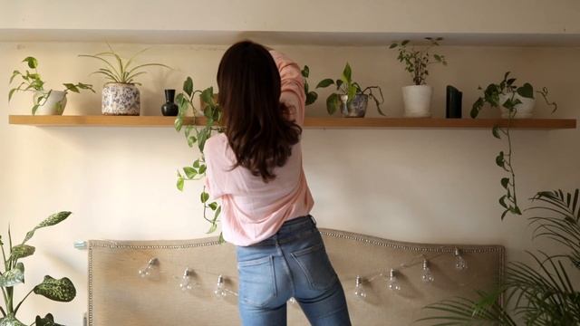 3 совета по уходу за комнатными растениями смотреть онлайн