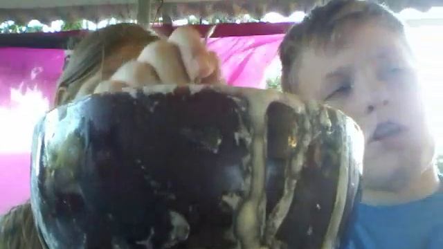 DIY как cделать не ньютоновскую жидкость смотреть онлайн