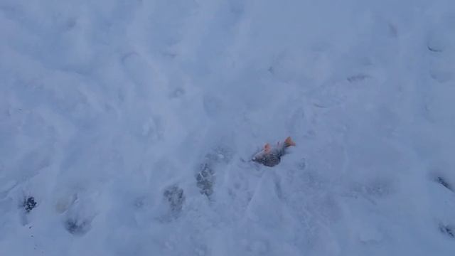 Зимняя рыбалка в Томской Области смотреть онлайн