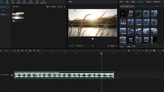 What Is a Proxy in Capcut Desktop (For Mac) смотреть онлайн