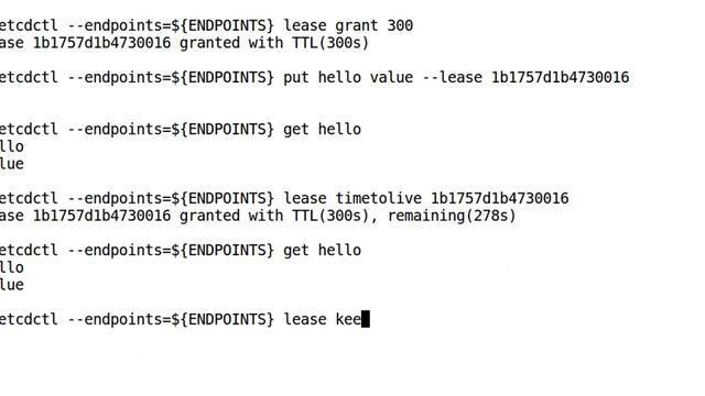 etcd-05-lease-00 смотреть онлайн