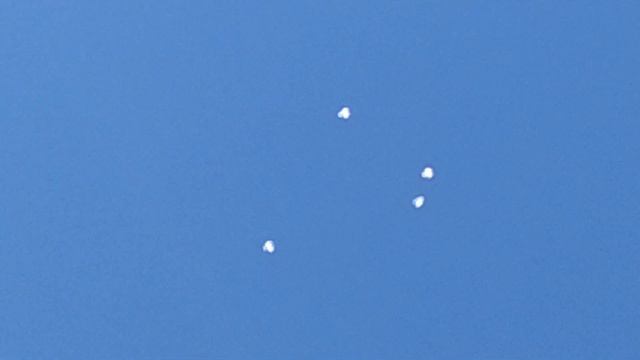 Проверяю на время . Зимние птенцы пробуют крыло . смотреть онлайн