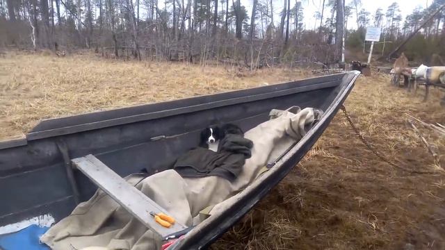 ХМАО-Югра Кондинский район Междуреченский "В гостях у Лешего" озеро Сумарья смотреть онлайн