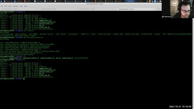 codeNforce back-end tutorial: ssh and executable flags смотреть онлайн