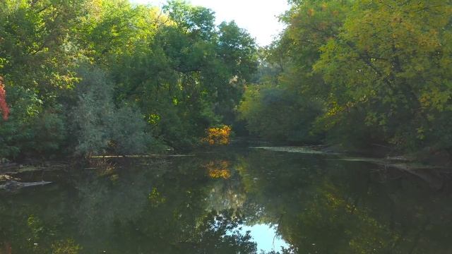 ДИКАЯ РЕКА В 4К HDR 60 FPS (ULTRA HD) смотреть онлайн