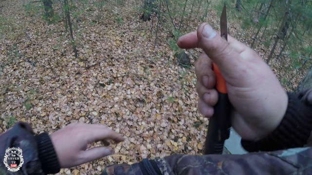 Грибы в октябре.Прогулка по лесу перед первым снегом. смотреть онлайн