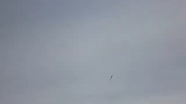 Авиамоделисты Комсомольска-на-Амуре.wmv смотреть онлайн