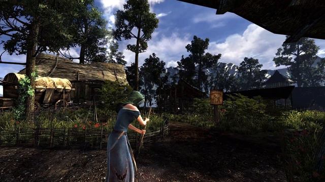 The Witcher 2: Lykaon - Update 01.09.14 смотреть онлайн